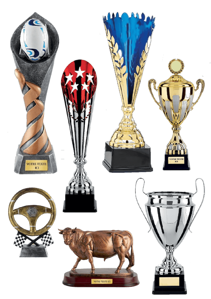 Trophée Football H342D08 – Distributeur de coupes et médailles dans l'Ain  Presti-France