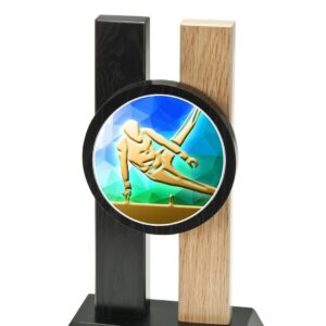 Trophée Gym Homme H342D10