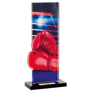 Trophée Boxe PN085