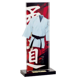 Trophée Judo PN082