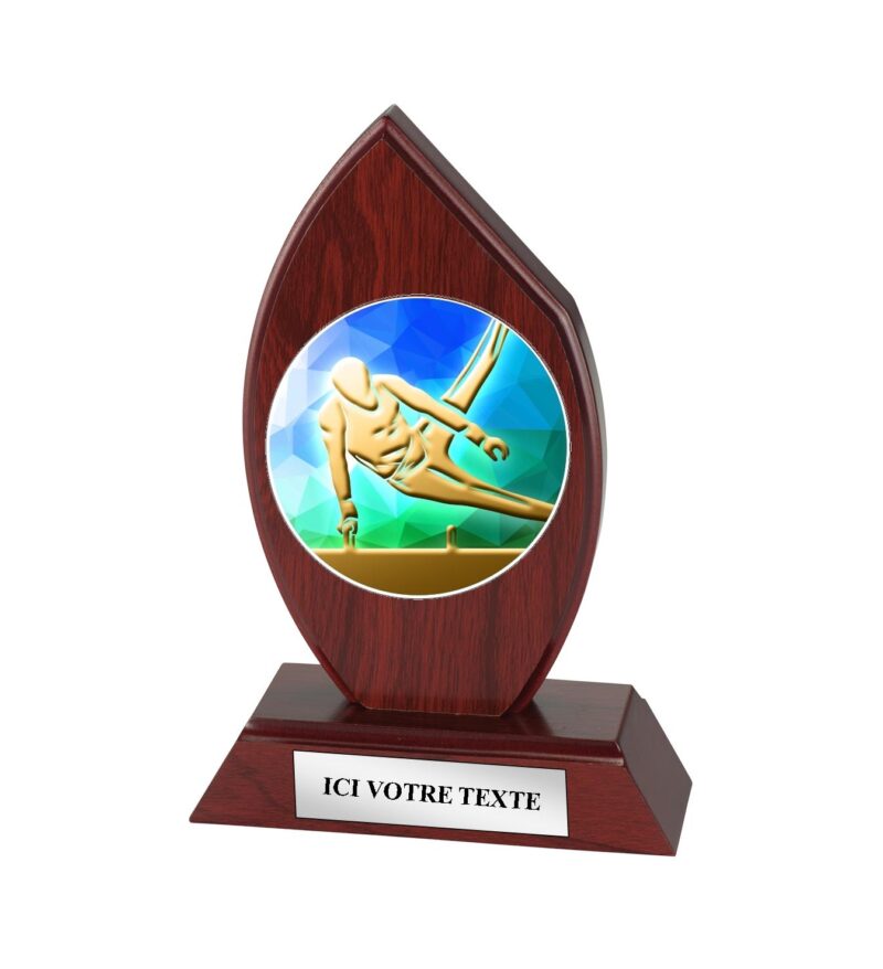 Trophée Gym Homme H163D10