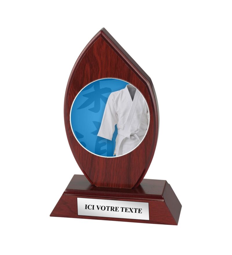 Trophée Judo H163D12